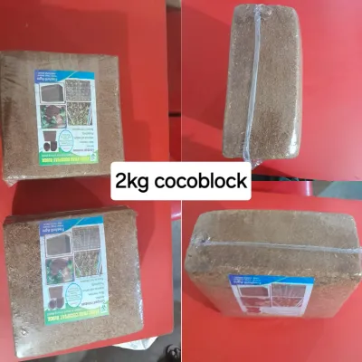 কোকোপিড(cocopid)_img_0