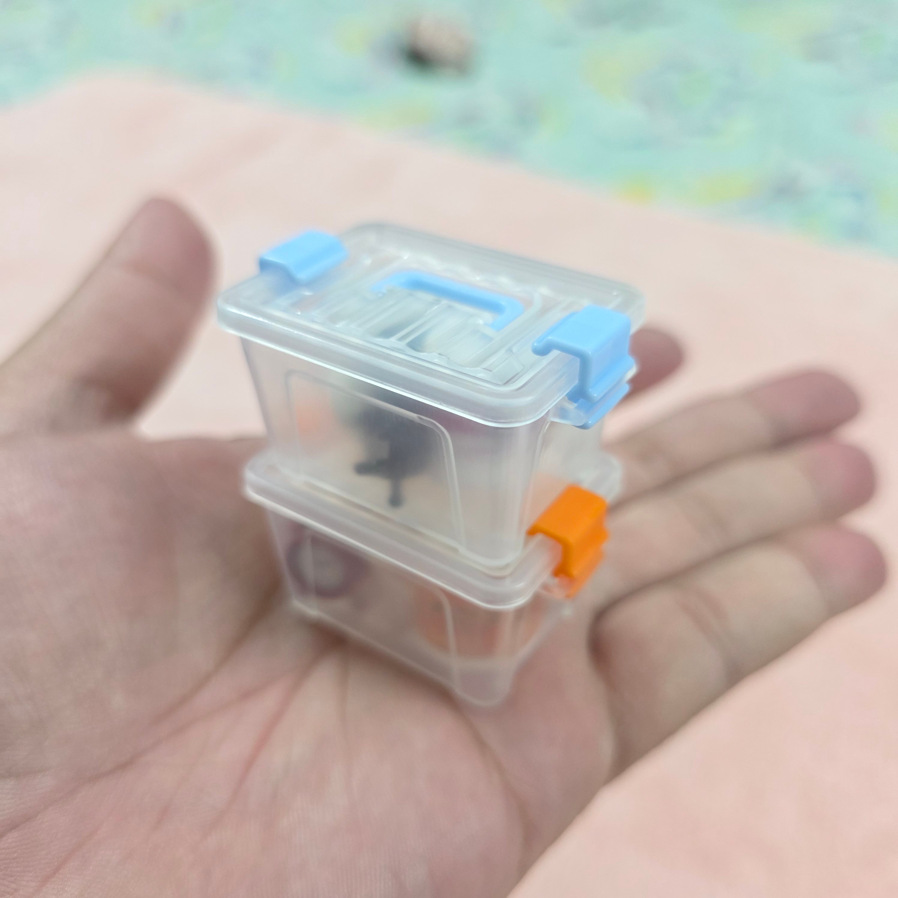Storage Box with Lid