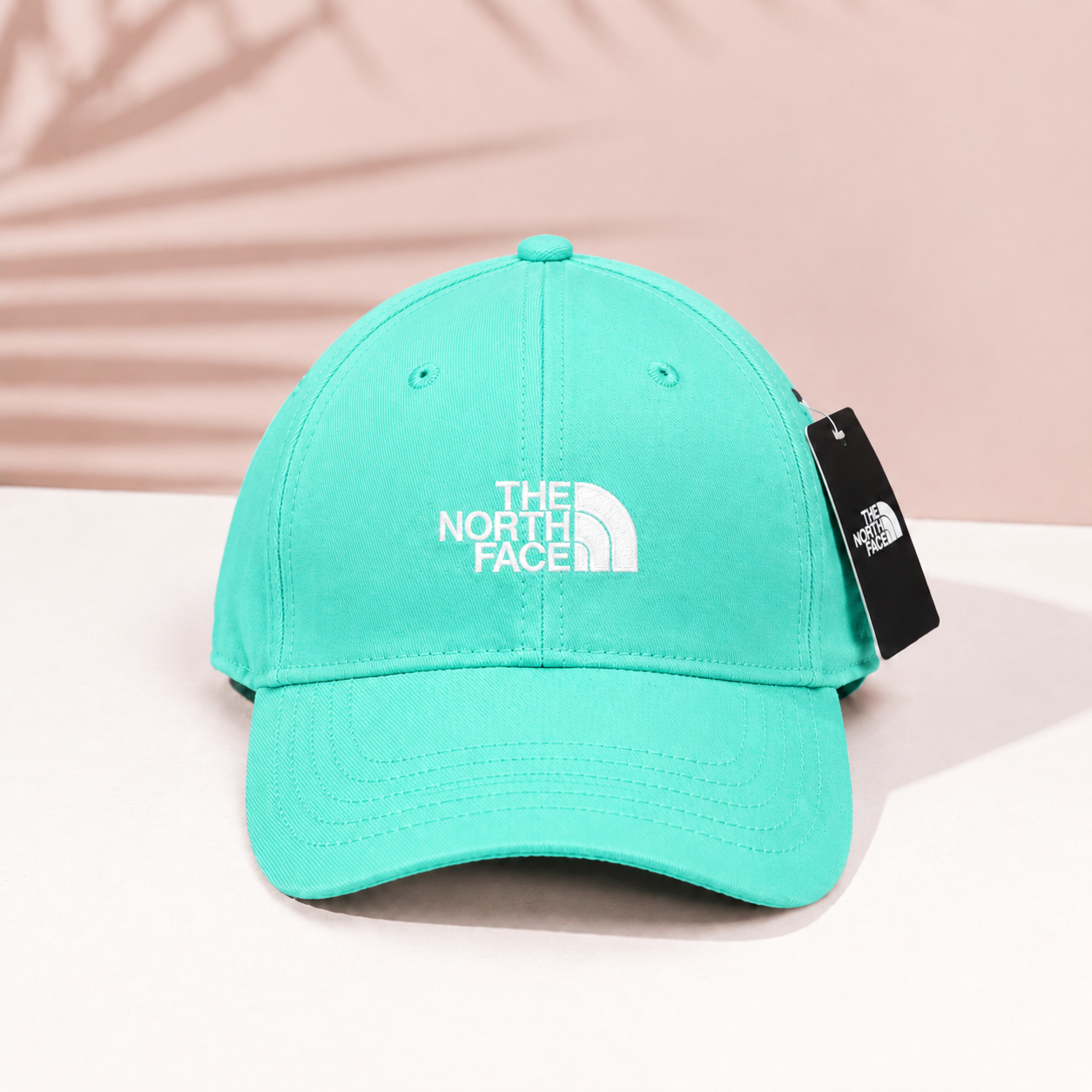 The North Face 66 Baseball Cap