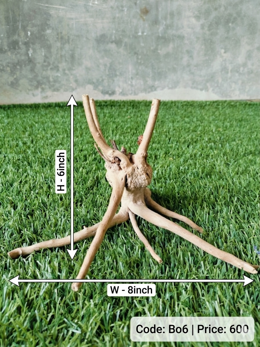 Bogwood