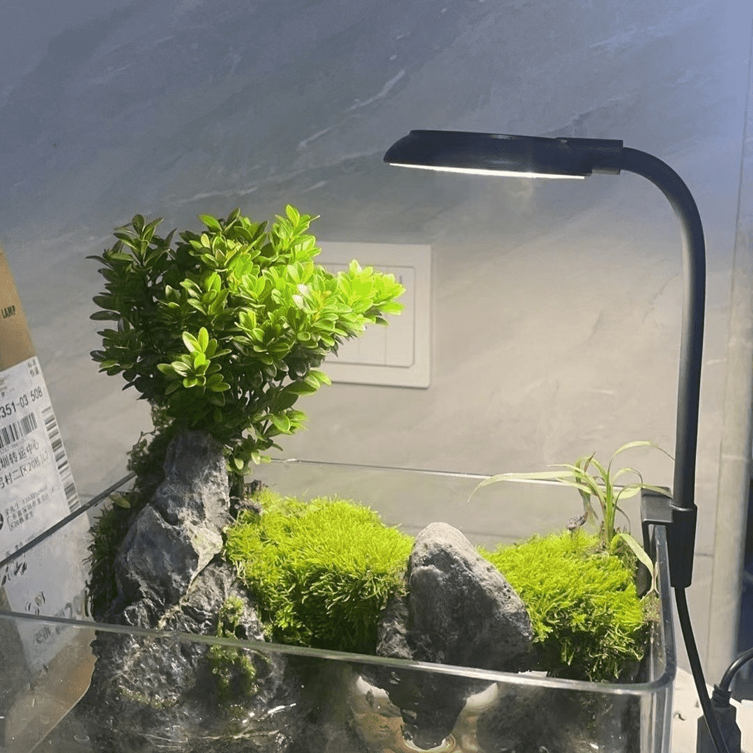 (7W) Three color Light+charger 20–40cm