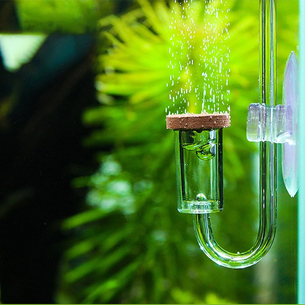 Co2 diffuser