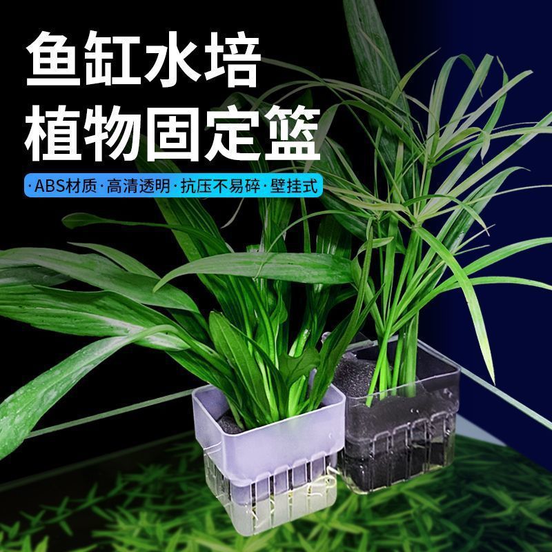 Aquarium plant holder 🌱🐠