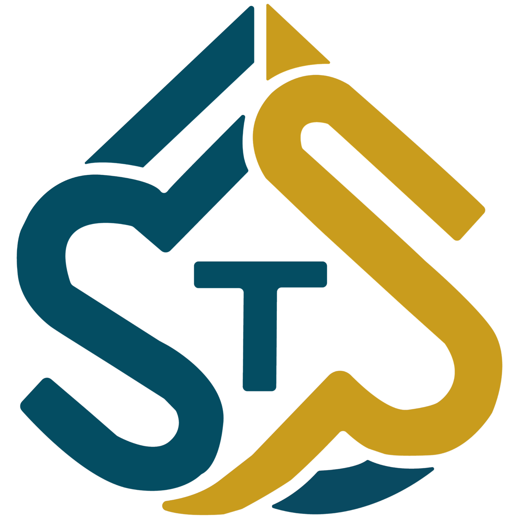 STS BD logo