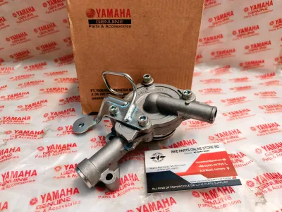 Water Pump Assy R15V3, V4, r15M, MT15, XSR155_img_0