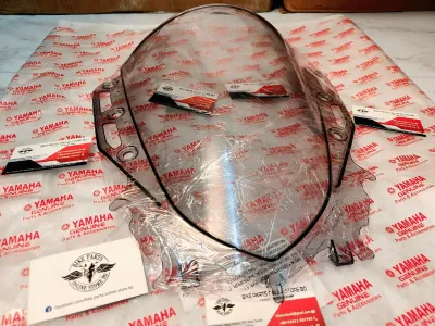 Visor Glass R15V4 & R15M_img_1