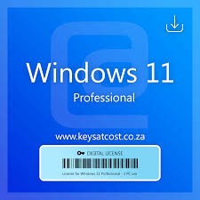 WIndows 11 Professional