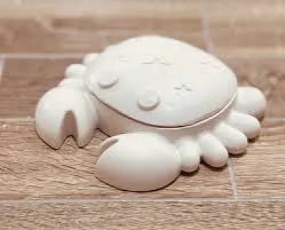 gypsum crab_img_1