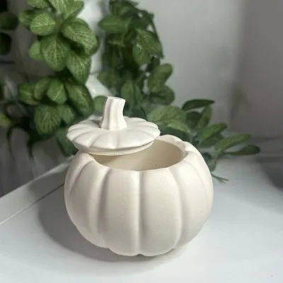 gypsum pumpkin_img_0