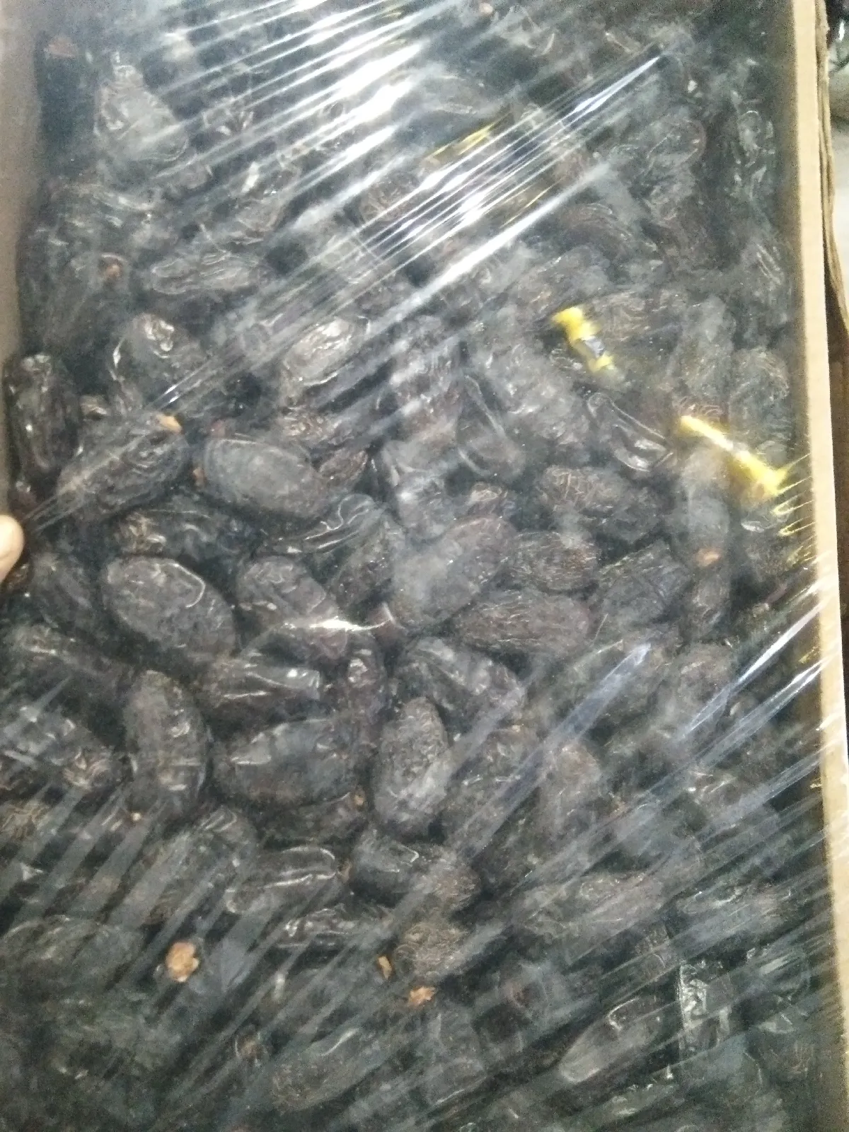 খেজুর