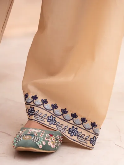 🌸 Gulbahar Premium Pakistani Collection_img_1