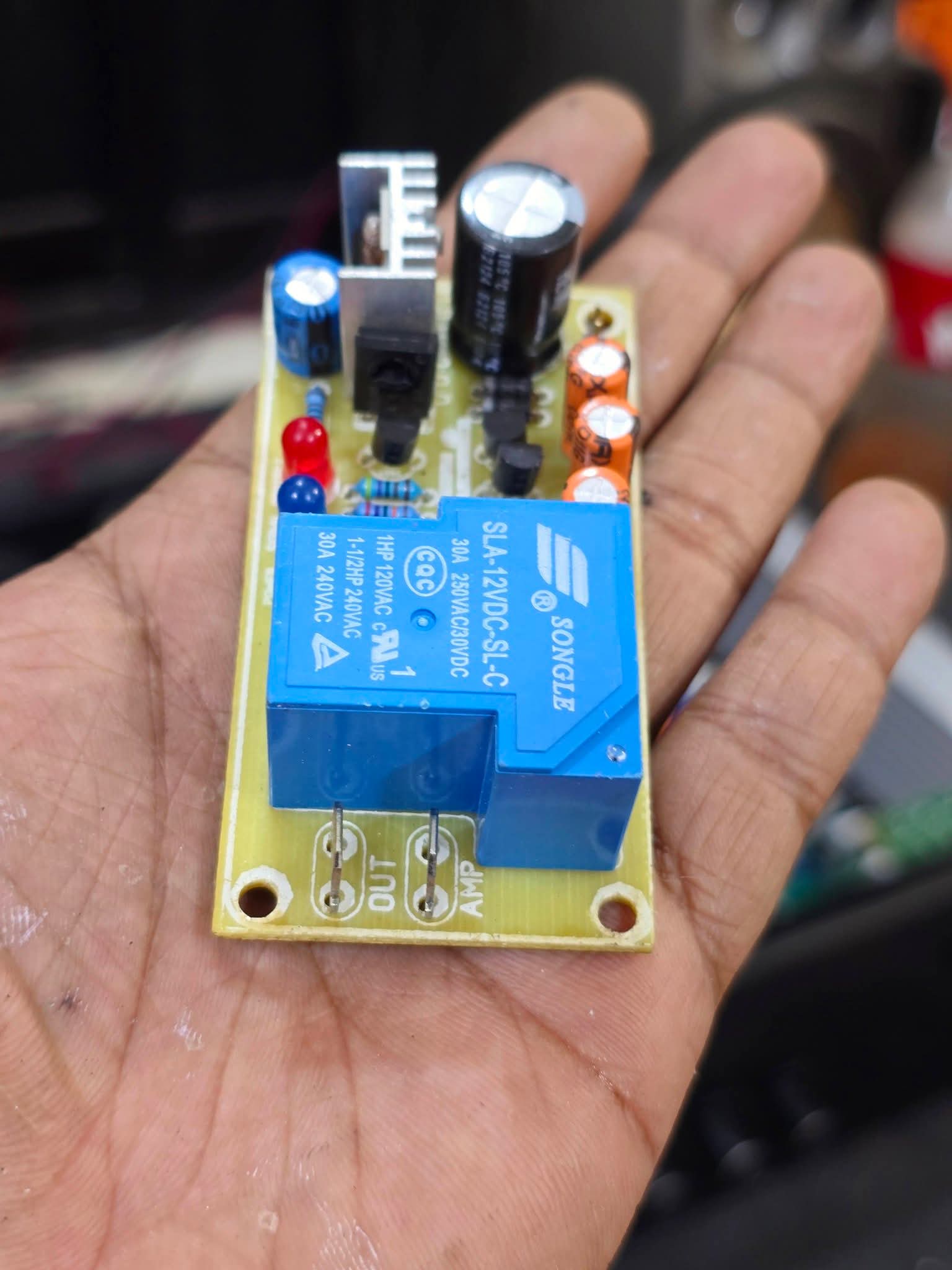 Mono Speaker Protection Circuit Board (30A Heavy Duty Relay - 12V DC)_img_3