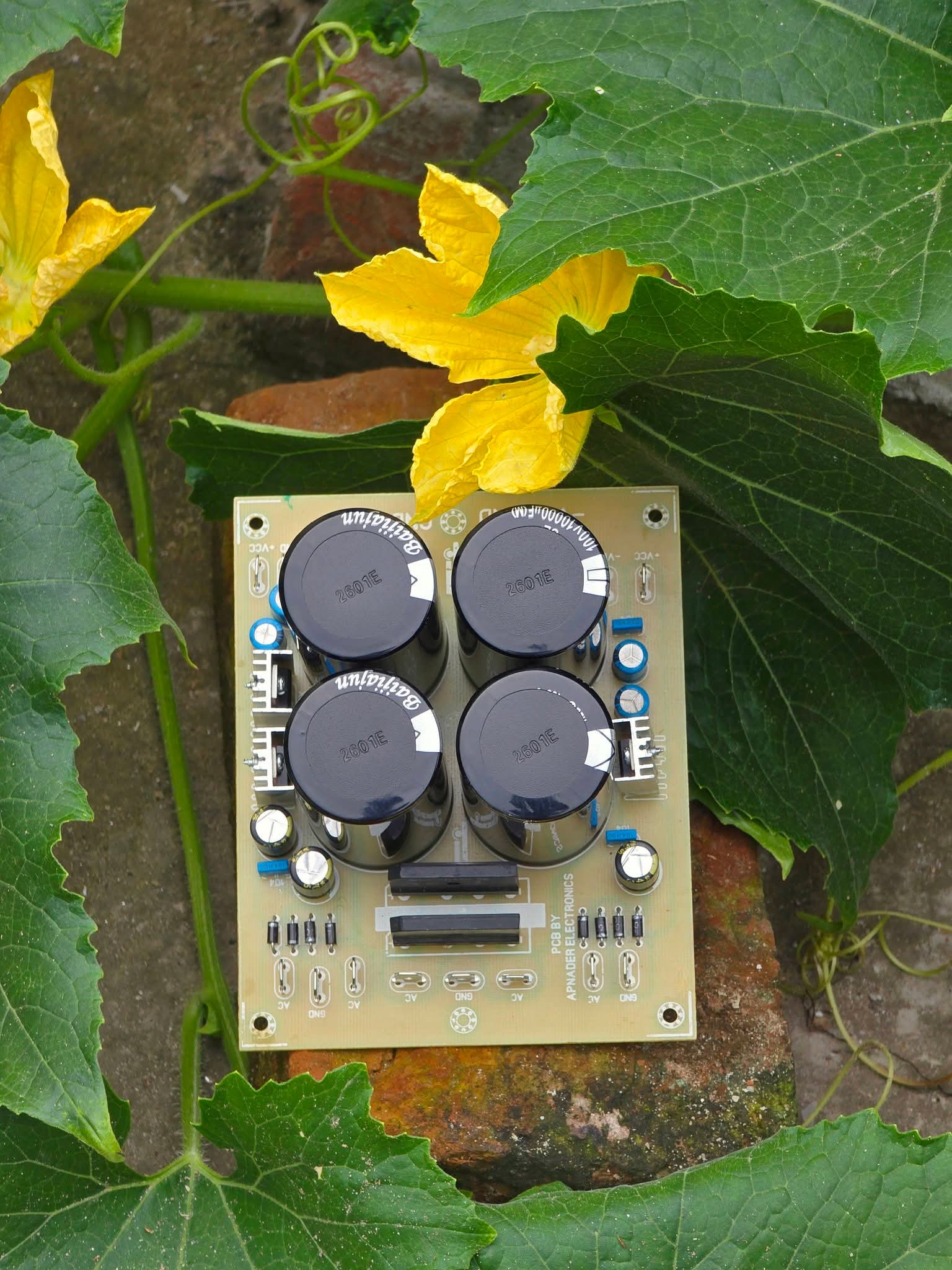 4-Capacitor Dual Power Supply Filter Board (100V 10000uF)_img_3