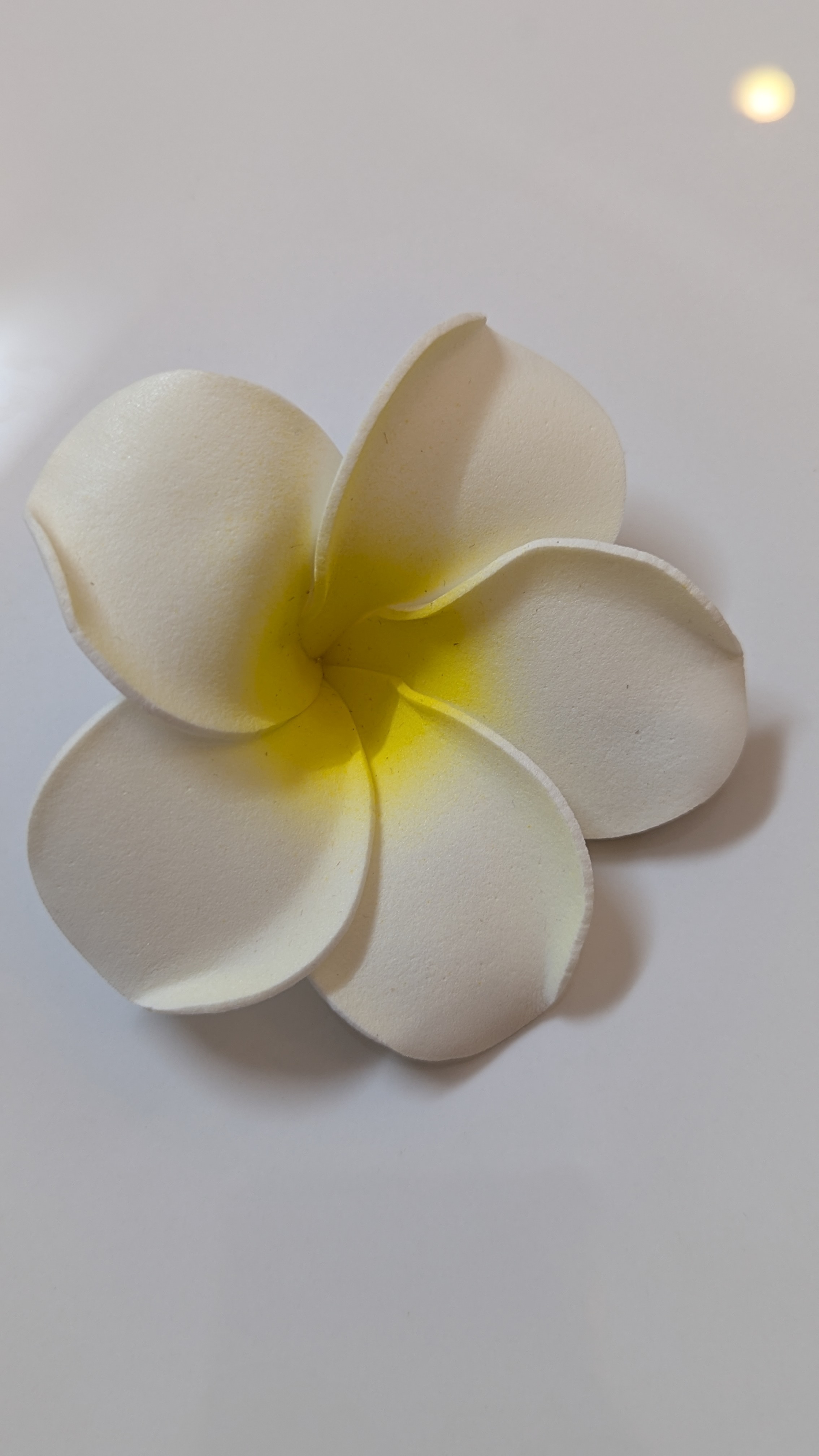 PlumeriaClip medium size