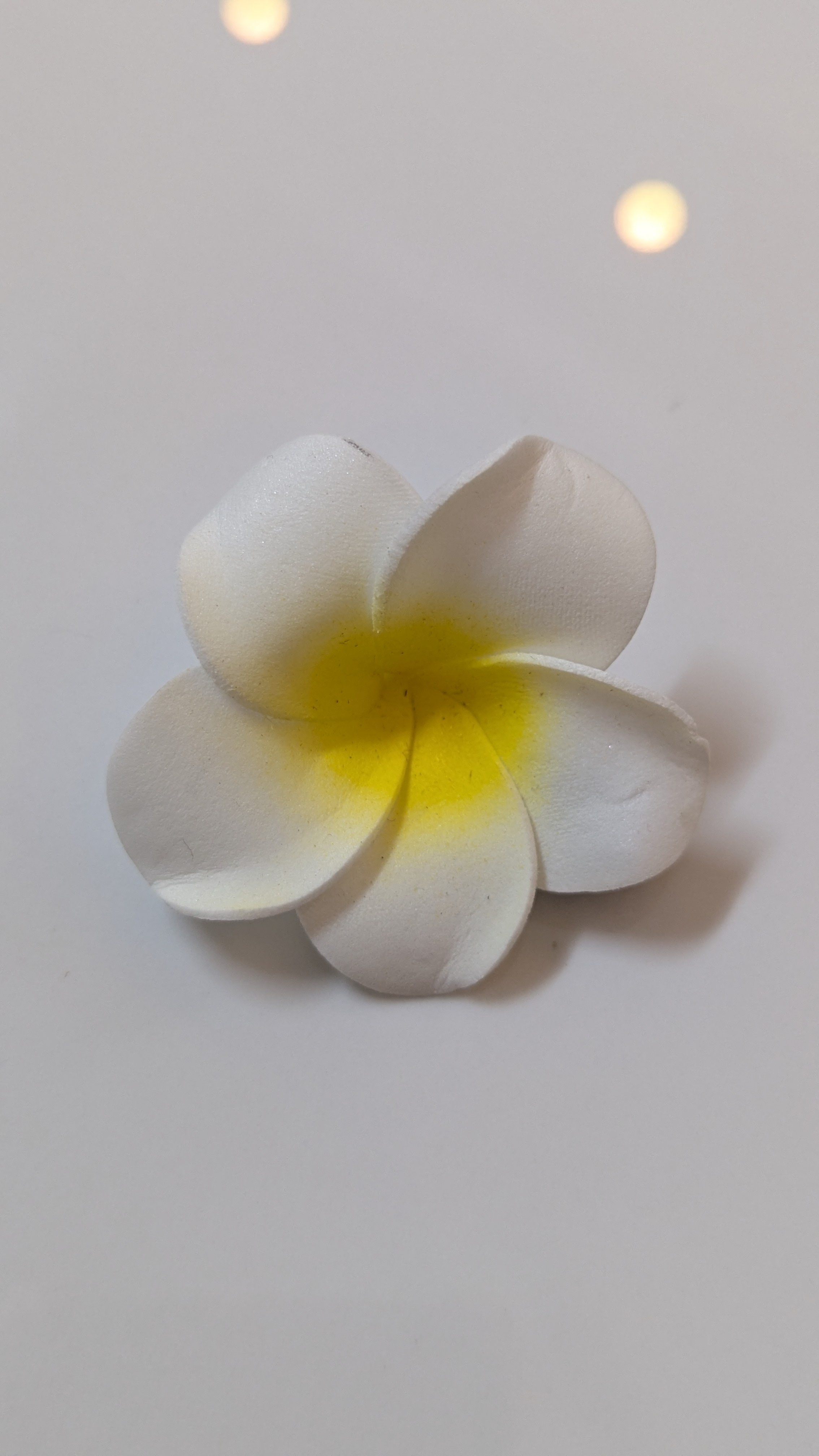 PlumeriaClip small size 5.5