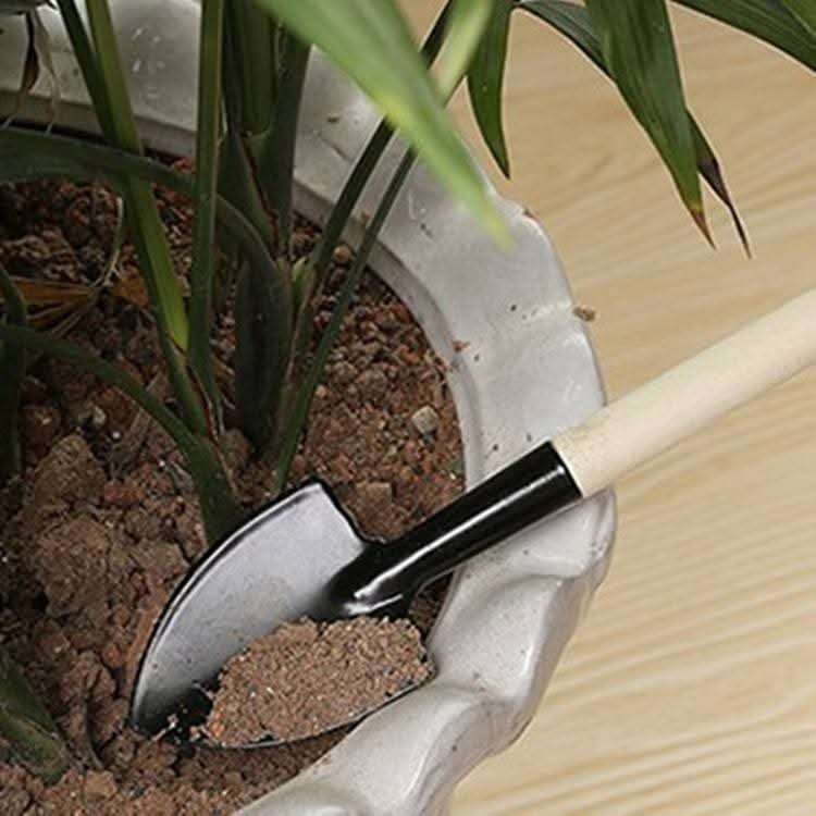 3pcs Mini Garden Tools Set in Bangladesh Small Gardening Kit with Rake Shovel Spade thumbnail 2