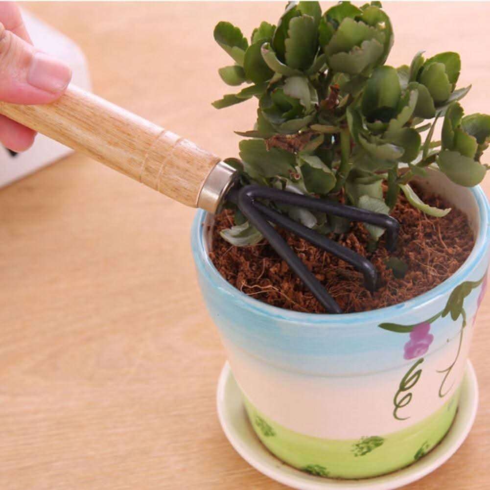3pcs Mini Garden Tools Set in Bangladesh Small Gardening Kit with Rake Shovel Spade thumbnail 3
