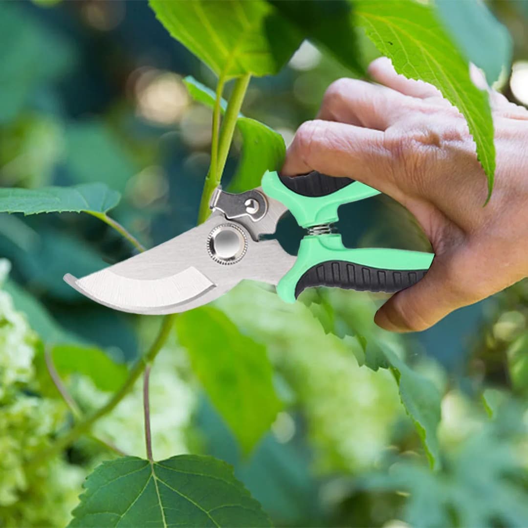 Garden Pruner Shears Pruning Trimming Scissors, Gardening Plant Sharp Branch Pruners Horticultural Fruit Picking Garden Scissors thumbnail 5