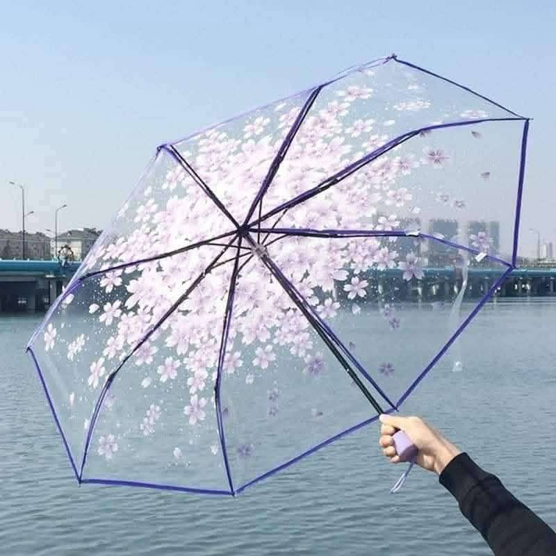 Premium Transparent Clear Folding Umbrella – Stylish & Fashionable 3-Fold Rainy Season Umbrella for Men & Women thumbnail 4