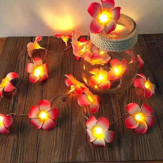 Artificial Plumeria String Light, Led kathgolap Flower Fairy Light thumbnail 5