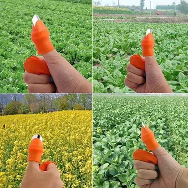 (6pcs) – Safe Vegetable Cutting Guard thumbnail 5