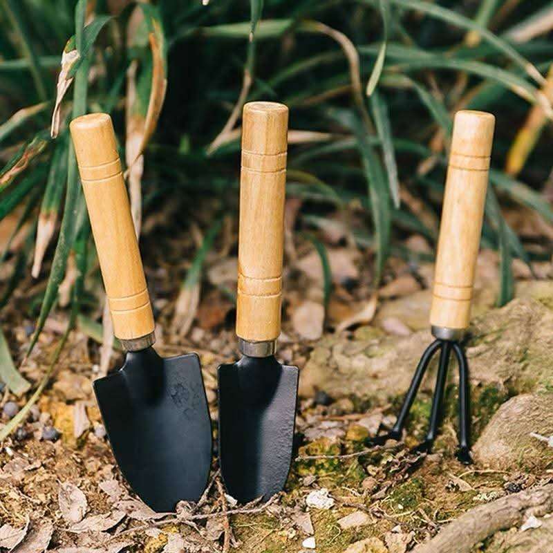 3pcs Mini Garden Tools Set in Bangladesh Small Gardening Kit with Rake Shovel Spade