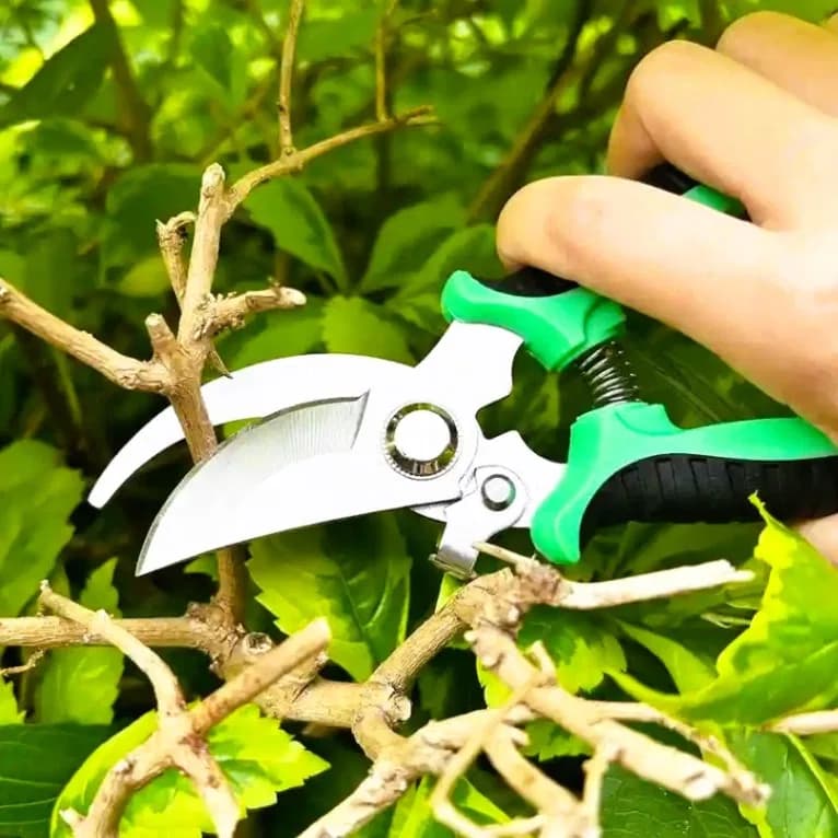 Garden Pruner Shears Pruning Trimming Scissors, Gardening Plant Sharp Branch Pruners Horticultural Fruit Picking Garden Scissors thumbnail 3