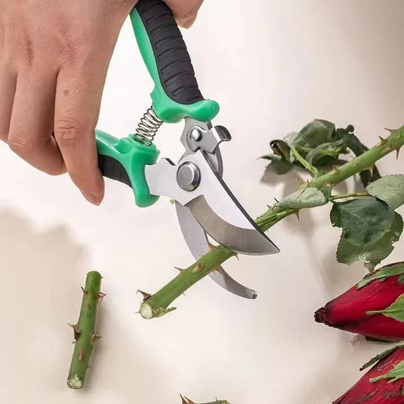 Garden Pruner Shears Pruning Trimming Scissors, Gardening Plant Sharp Branch Pruners Horticultural Fruit Picking Garden Scissors thumbnail 6