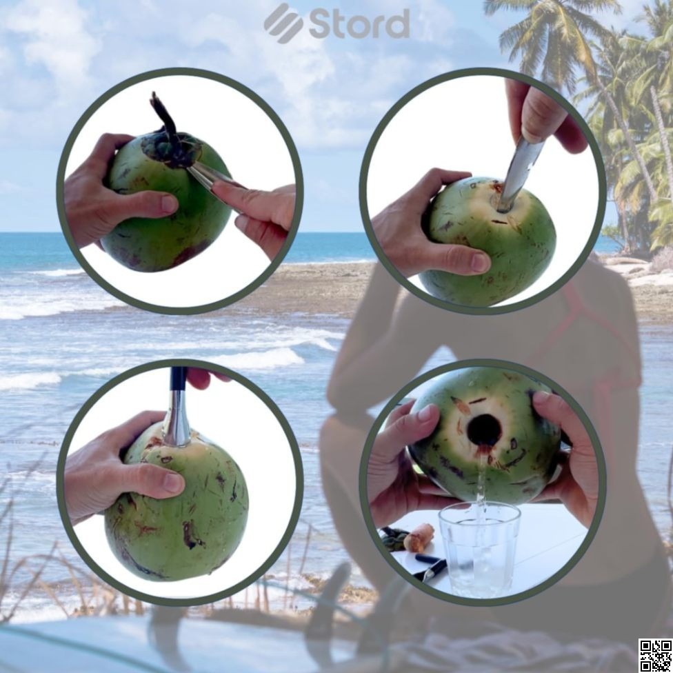 Stainless Steel Coconut Opener Tool – Easy Coconut Hole Puncher thumbnail 5
