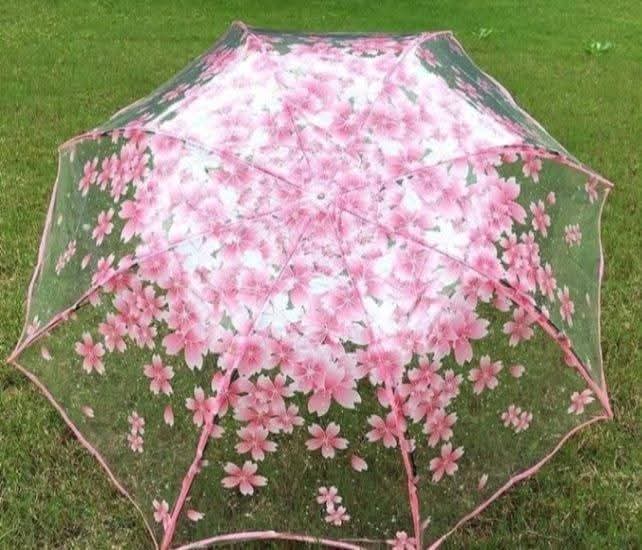 Premium Transparent Clear Folding Umbrella – Stylish & Fashionable 3-Fold Rainy Season Umbrella for Men & Women thumbnail 5