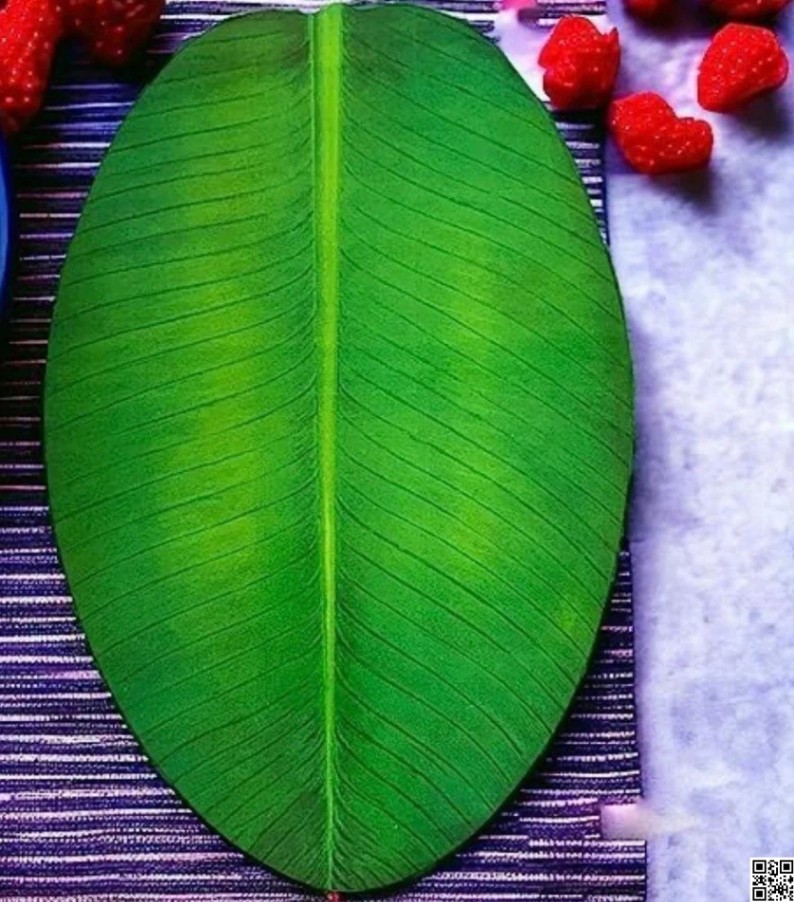 6 Pcs Banana Leaf Shaped Table Dining Mat – Green Leaf Placemat Set for Dining Table thumbnail 3
