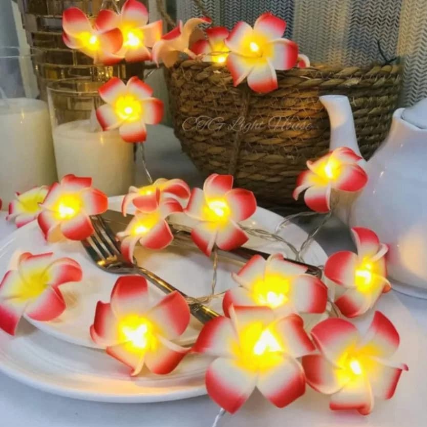 Artificial Plumeria String Light, Led kathgolap Flower Fairy Light thumbnail 2