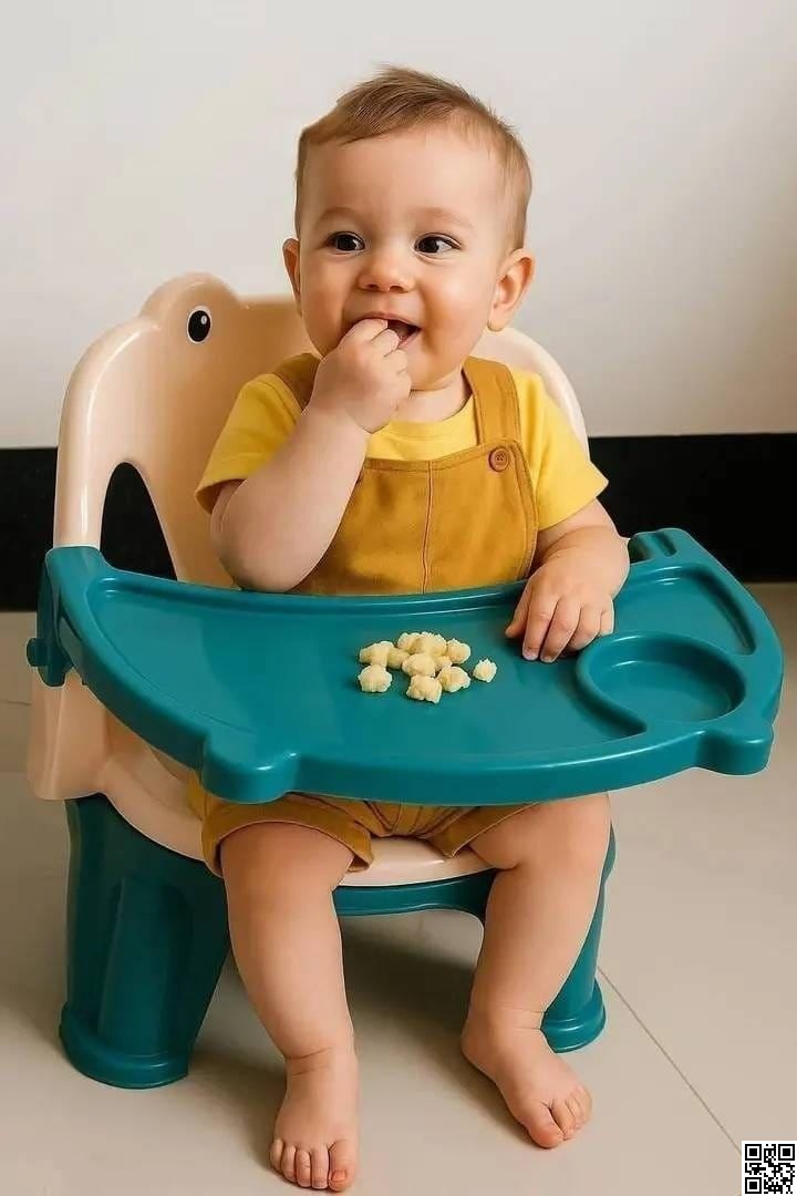 Baby Feeding Chair with Tray | Durable Plastic Kids High Chair & Study Chair
