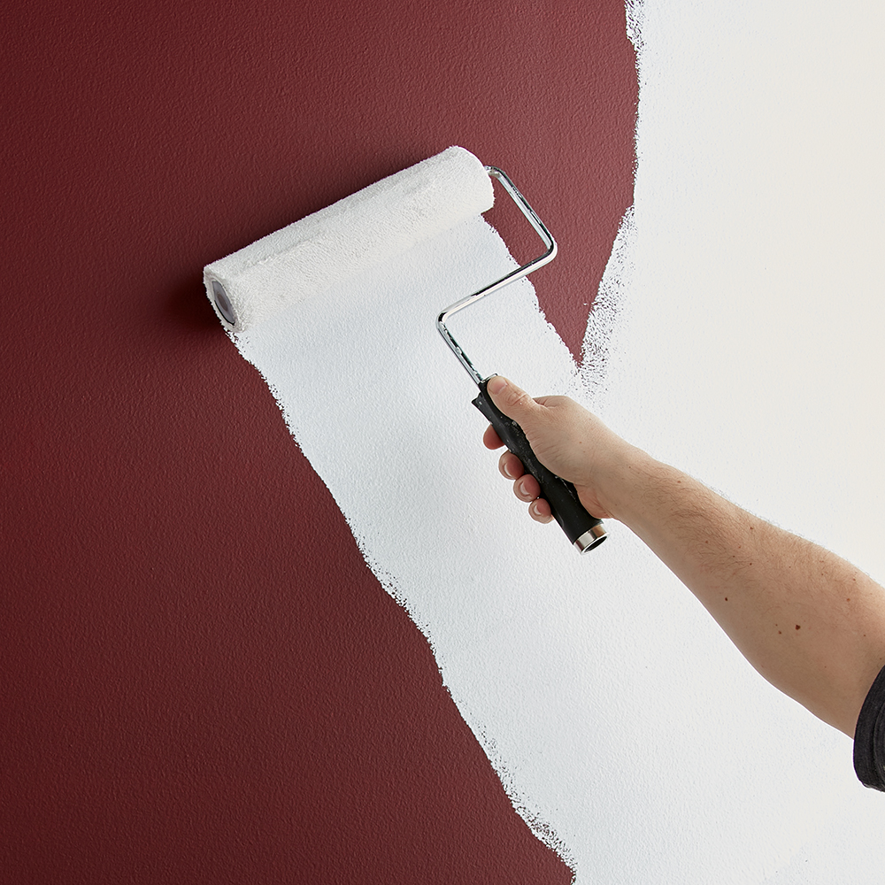 Paint & Primers