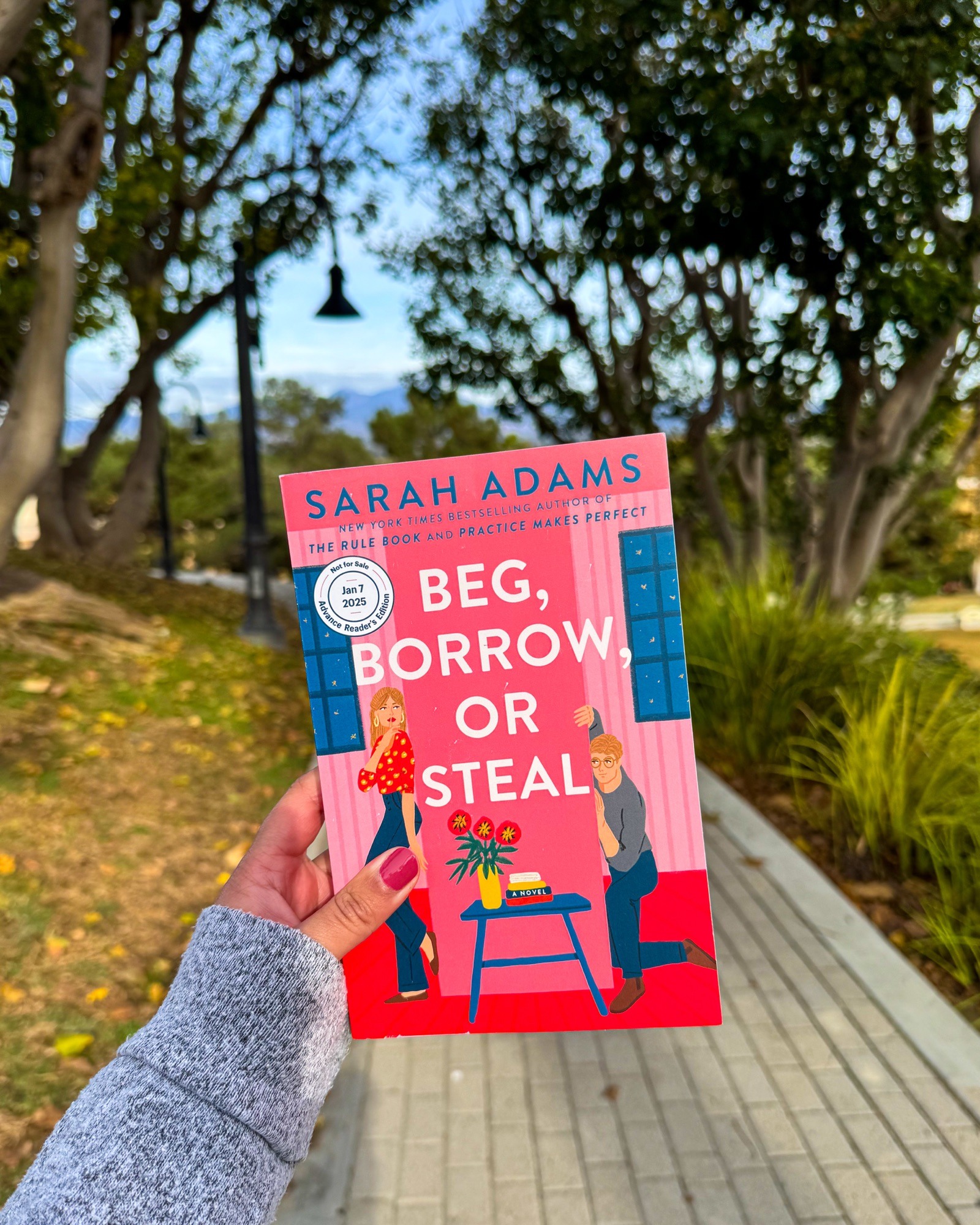 Beg, Borrow, or Steal by Sarah Adams