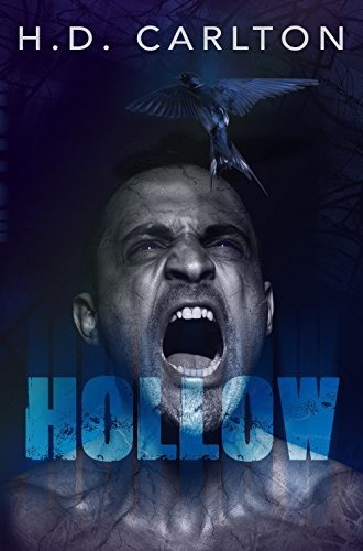 Hollow Book by H. D. Carlton