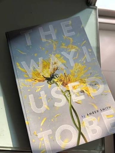 The Way I Used to Be by Amber Smith