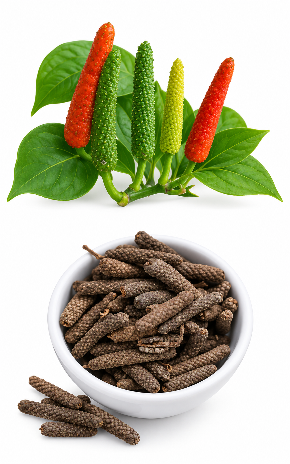 পিপুল মরিচ (Pippali / Long Pepper) – 250g / 500g / 1 KG