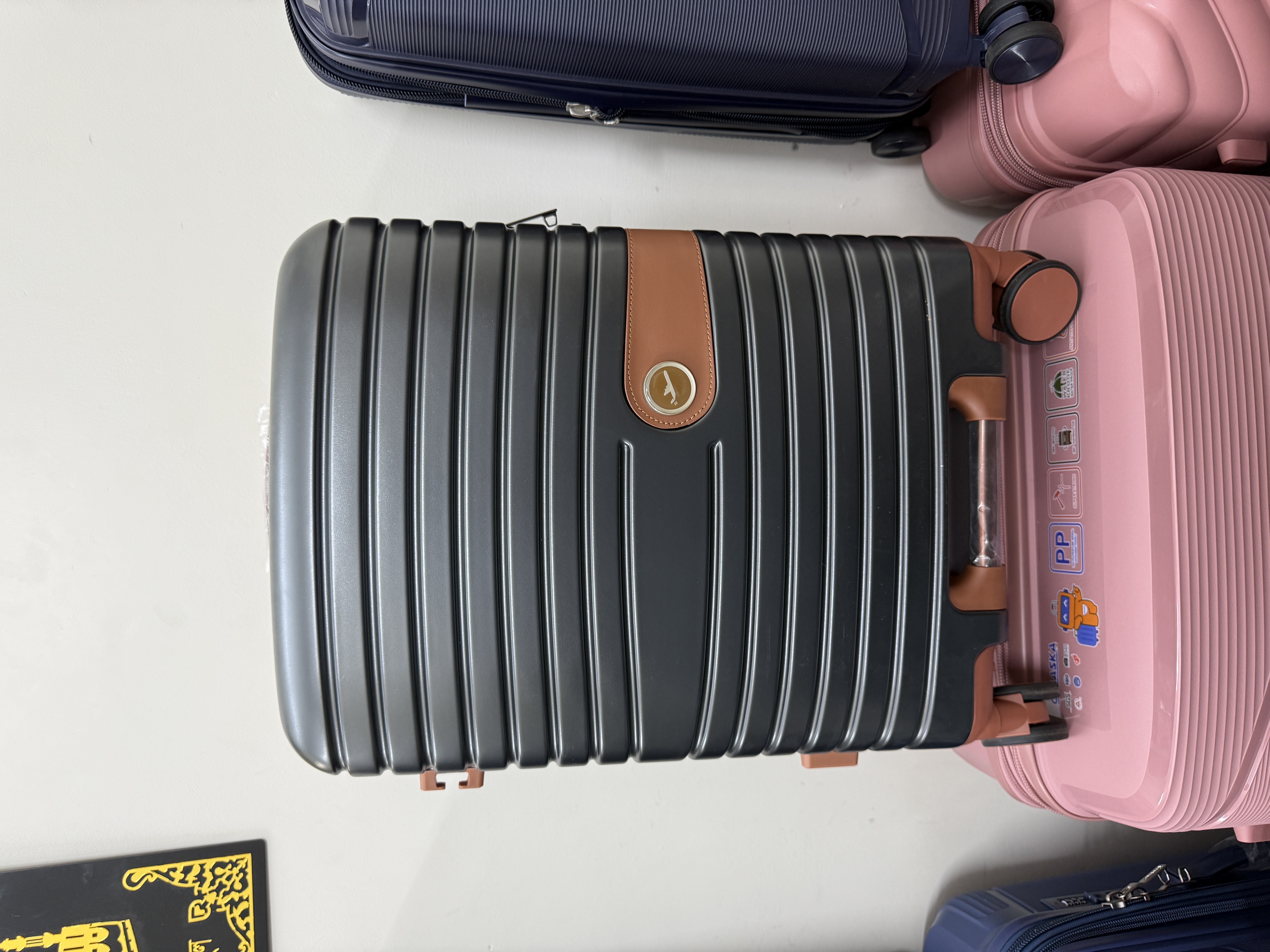 fly luggage