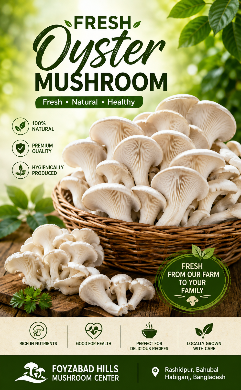 Mushroom Collection thumbnail 2