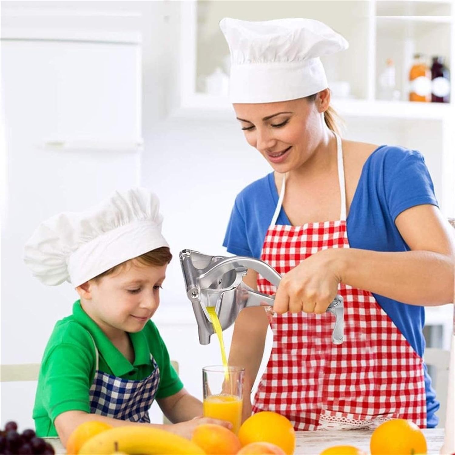 Handhold Press Fruit Juicer
