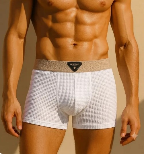 Men's Ice Silk net pattern Premium Boxer ( set of 3 )