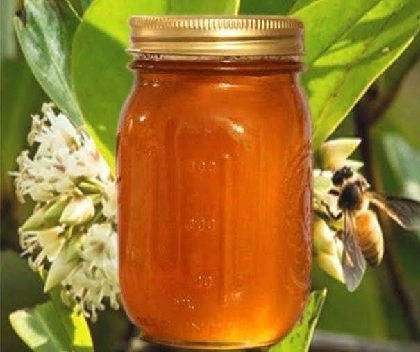খলিশা ফুলের মধু - Sundarbans Kholisha Flower Honey