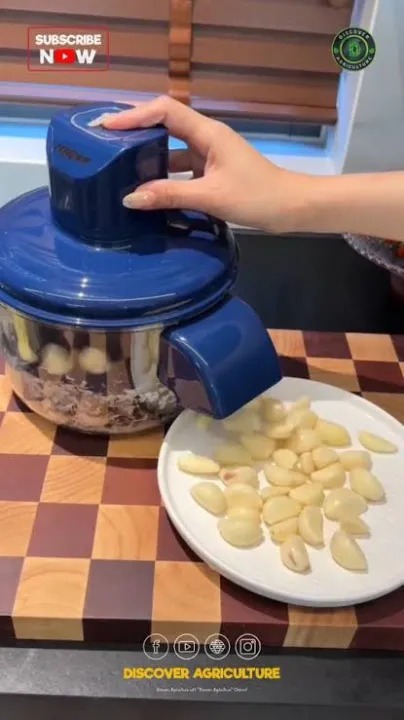 Multipurpose Automatic Fruit & Vegetable Peeler Machine_img_1