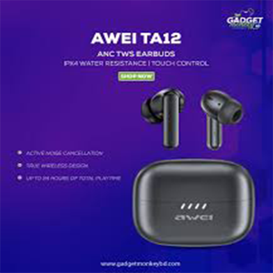 AWEI - TA12 ANC - Earbuds_img_1