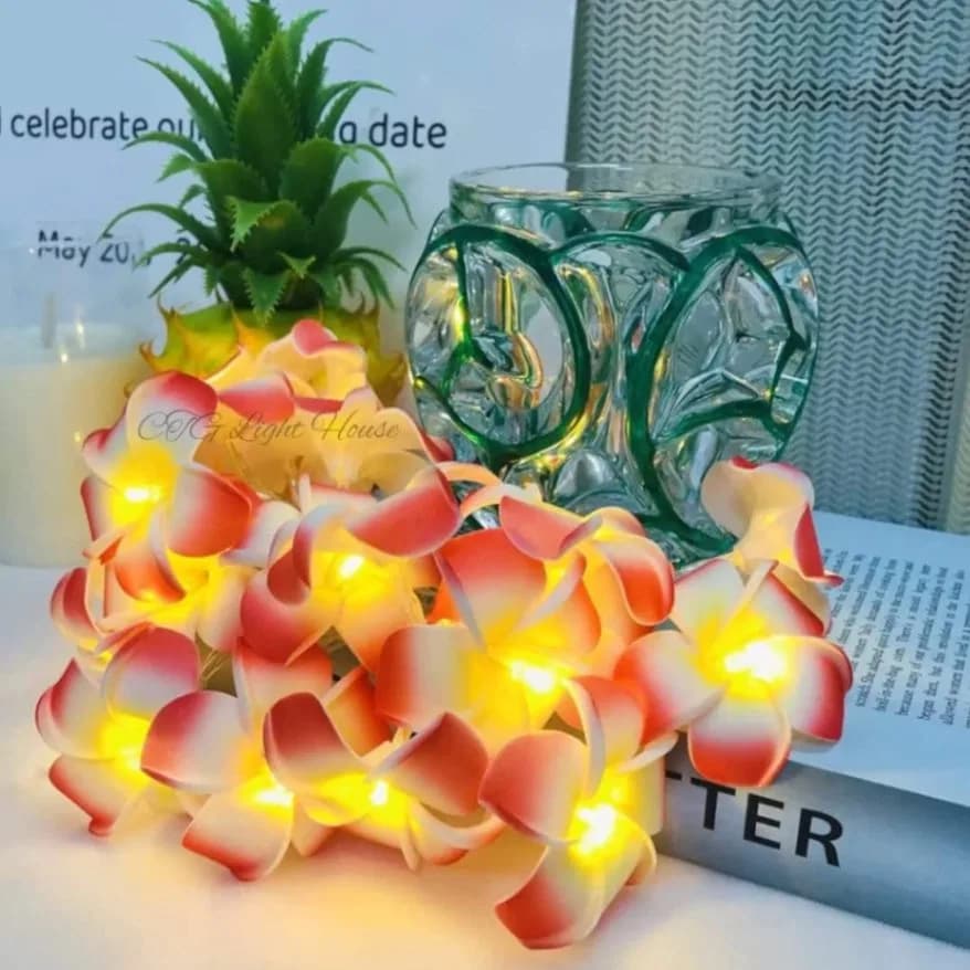 Artificial Plumeria String Light, Led kathgolap Flower Fairy Light_img_0