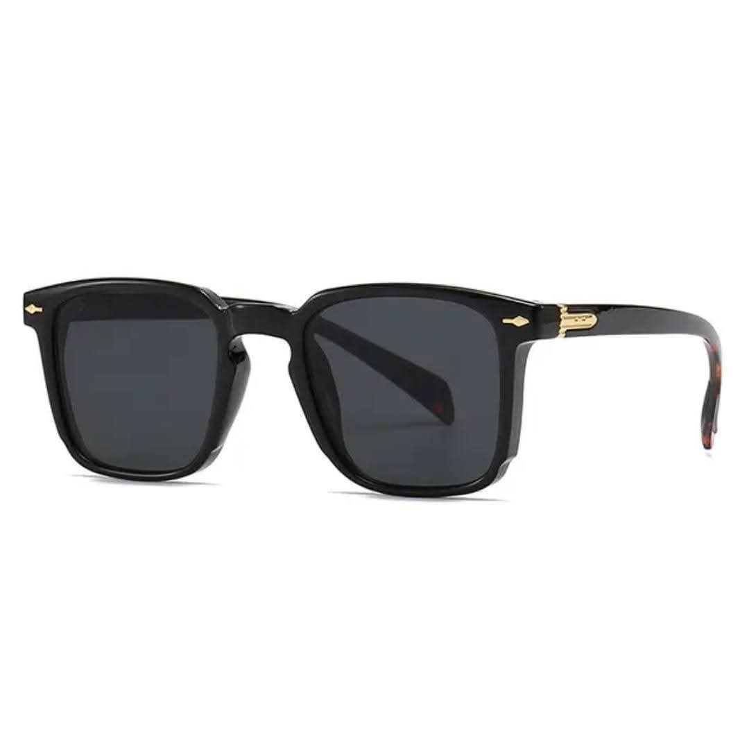 206A Premium Brand Sunglass