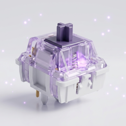 Switches