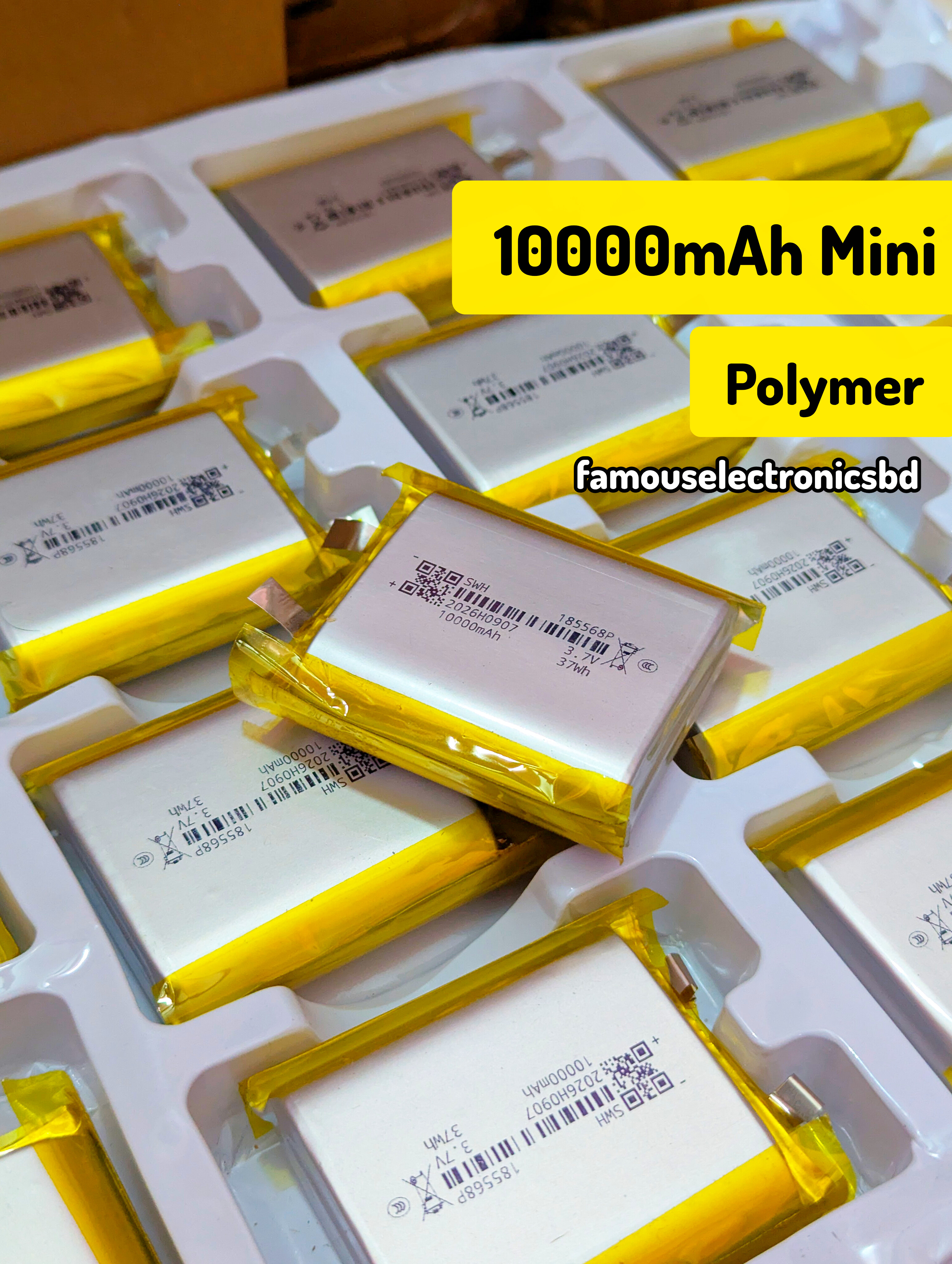 10000mAh Mini Polymer Battery