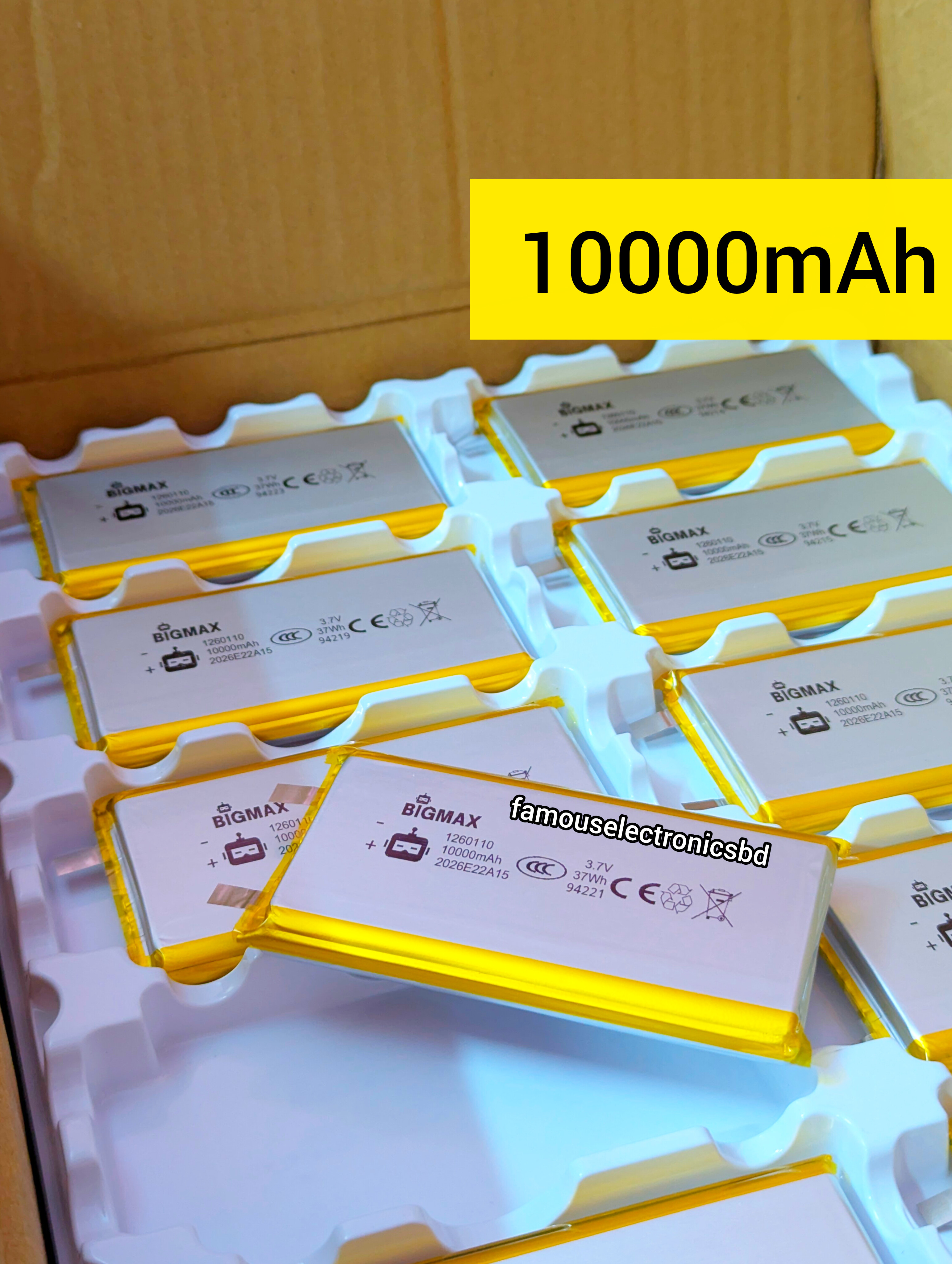 Bigmax 3.7v 10000mah Lithium Polymer Battery_img_1